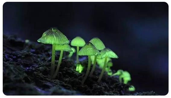 圖片關(guān)鍵詞 圖片關(guān)鍵詞