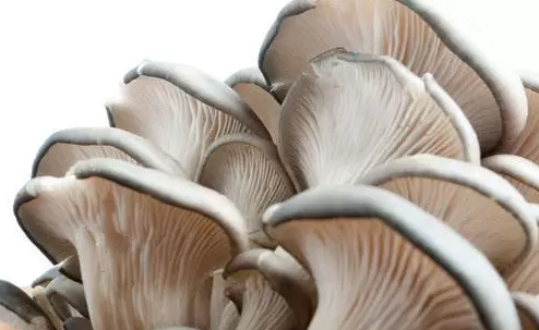 圖片關(guān)鍵詞 圖片關(guān)鍵詞