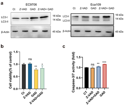 圖片關(guān)鍵詞 https://mmbiz.qpic.cn/mmbiz_png/tViaTicjwibVZnnuxTI0eMzfuPJd8DTSZHDkVF2AcH2CFEDW2pCWiaKaLrfPlv2Heou2AqFLmsxY5YRwJCjZWUDSoQ/640?wx_fmt=png