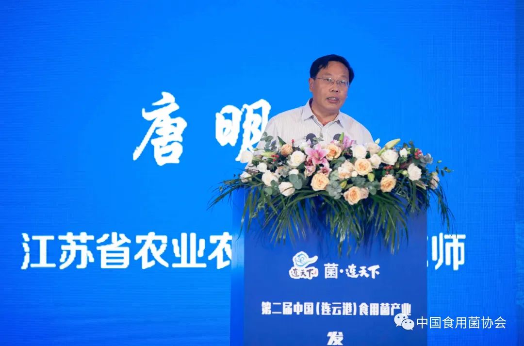 圖片關(guān)鍵詞 https://mmbiz.qpic.cn/mmbiz_jpg/qmUUOFzKOyRYEBXKnSHMvP5v7LsM30EkJYouYGL2RKzQ0ib66eIKJATgU1emX7l1FjFgXZO4LLv9yTqApYGsiaLQ/640?wx_fmt=jpeg