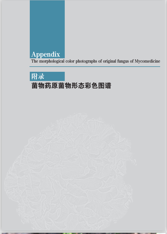 圖片關鍵詞 圖片