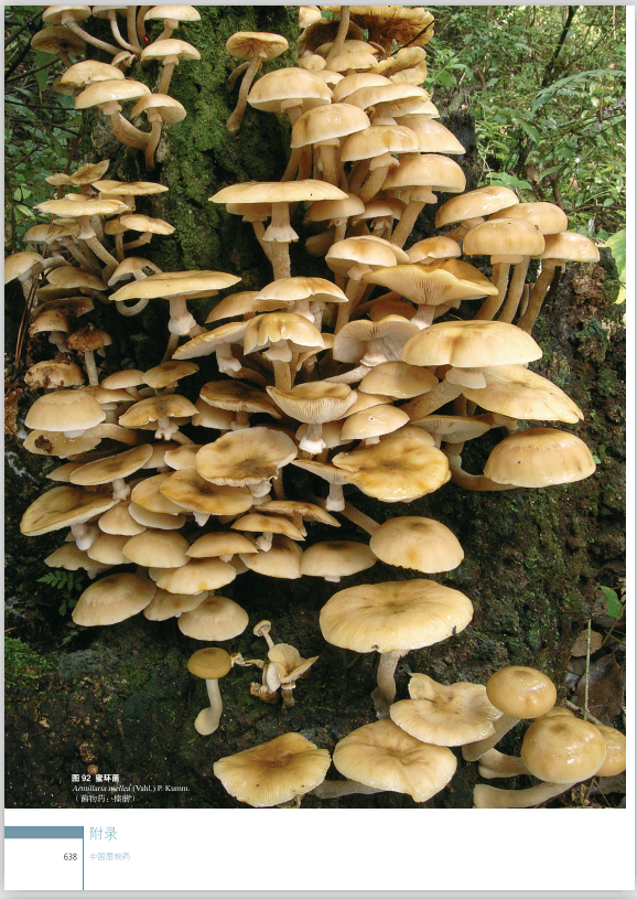 圖片關鍵詞 圖片