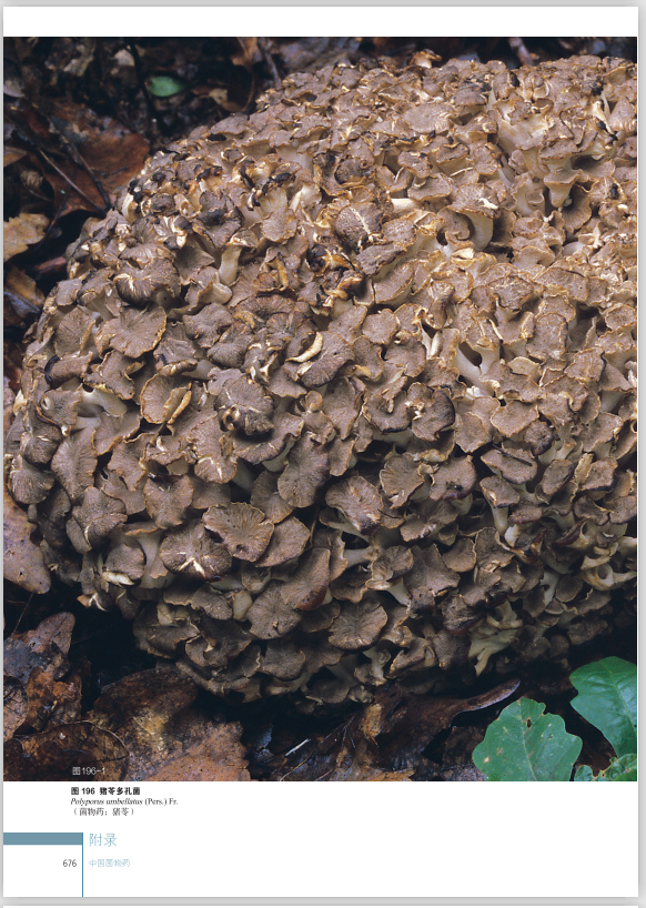 圖片關鍵詞 圖片