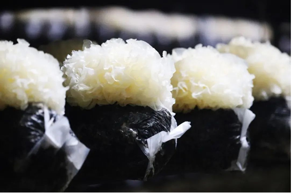 圖片關鍵詞 圖片關鍵詞