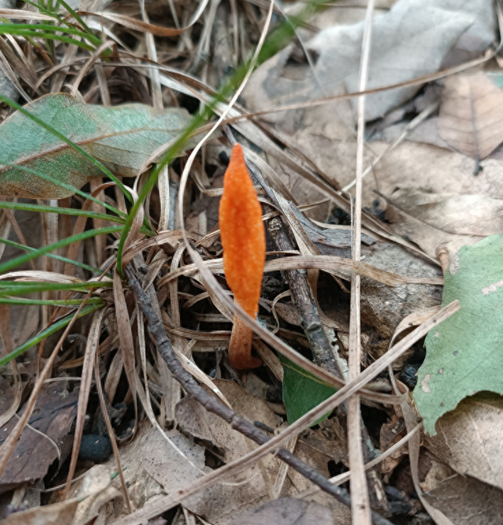圖片關鍵詞 圖片關鍵詞