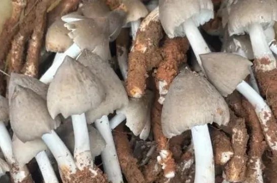 圖片關鍵詞 圖片關鍵詞