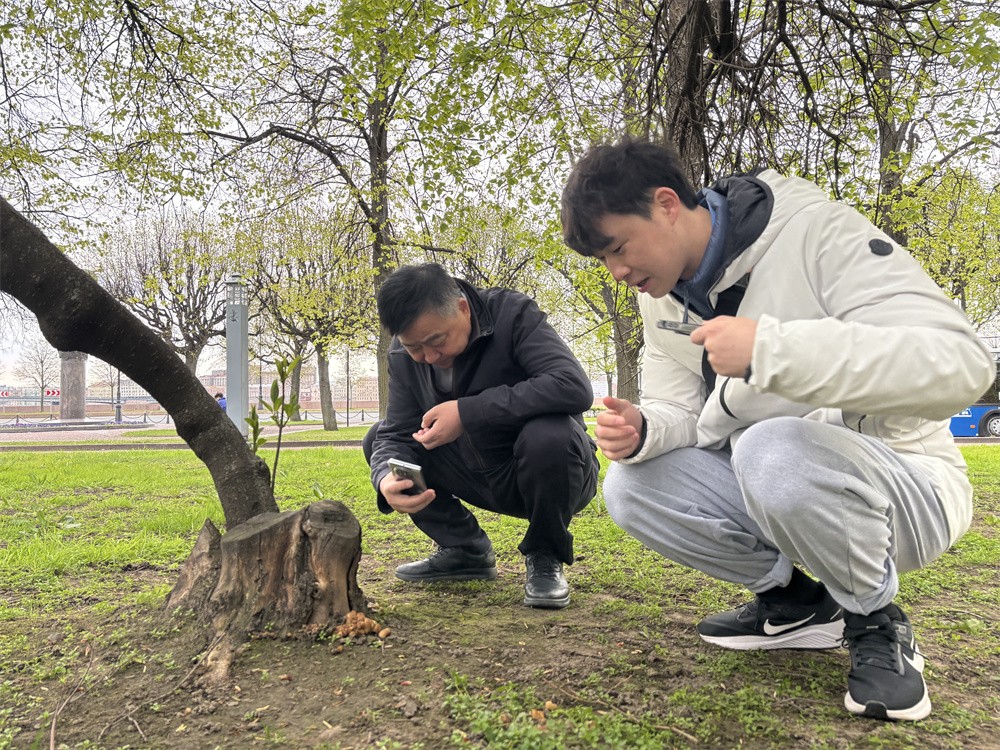 圖片關鍵詞 圖片關鍵詞