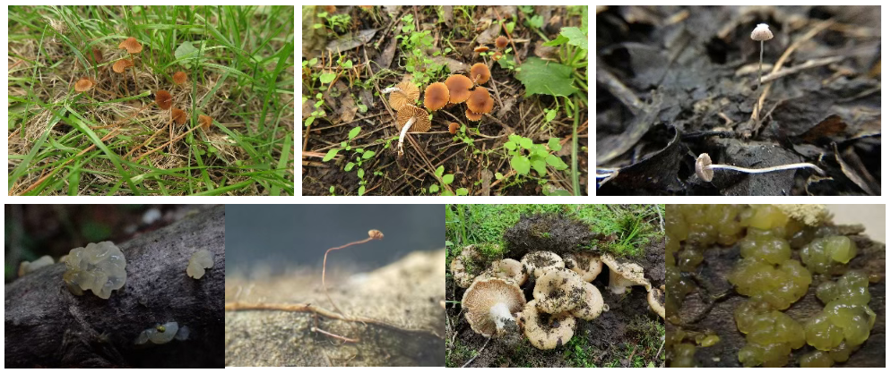 圖片關鍵詞 圖片關鍵詞