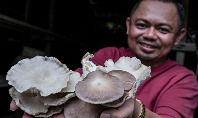 圖片關(guān)鍵詞