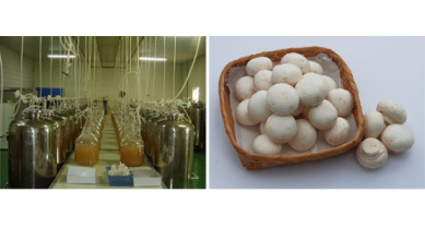 行業(yè)動態(tài)