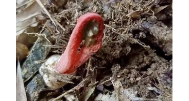 行業(yè)動(dòng)態(tài)