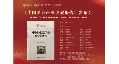 行業(yè)動(dòng)態(tài)