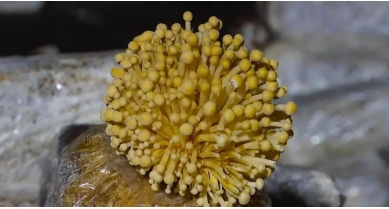 行業(yè)動(dòng)態(tài)